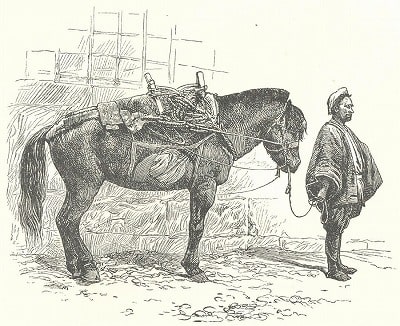 Japanese Pack-Horse